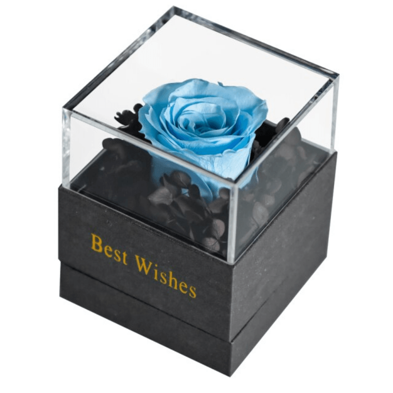 Preserved Rose Jewelry Box-Flower Teddy Bear