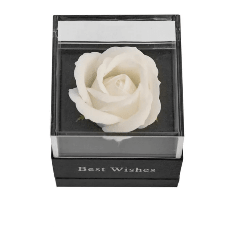 Soap Rose Acrylic Box-Flower Teddy Bear