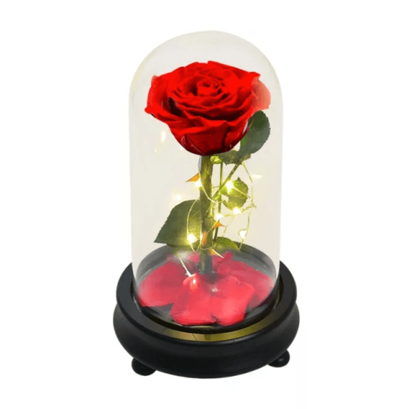 Forever Rose Glass Dome - Gift With Pine Wood Base-Flower Teddy Bear