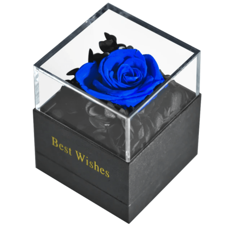 Preserved Rose Jewelry Box-Flower Teddy Bear