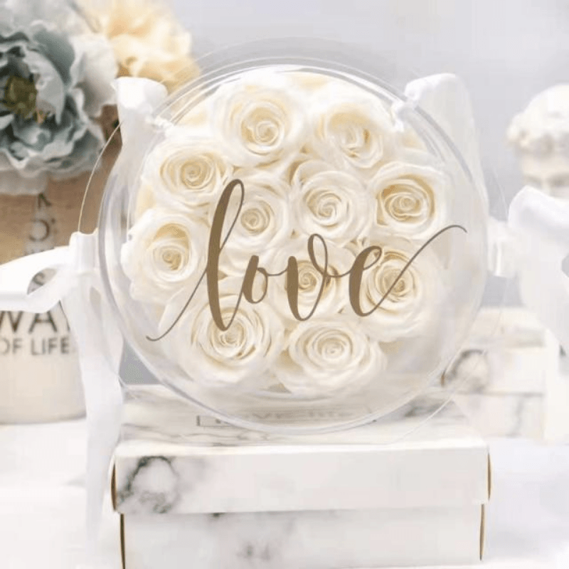 Forever Rose Box - Elegant Preserved Roses for Any Occasion-Flower Teddy Bear