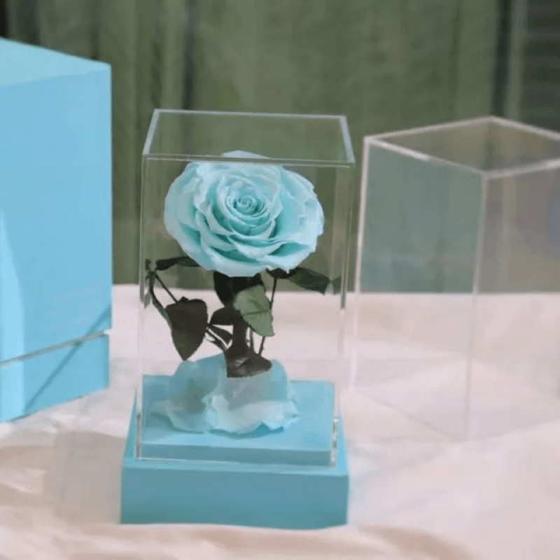 Circle Rose Square Dome – A Timeless Gift To Loved One-Flower Teddy Bear