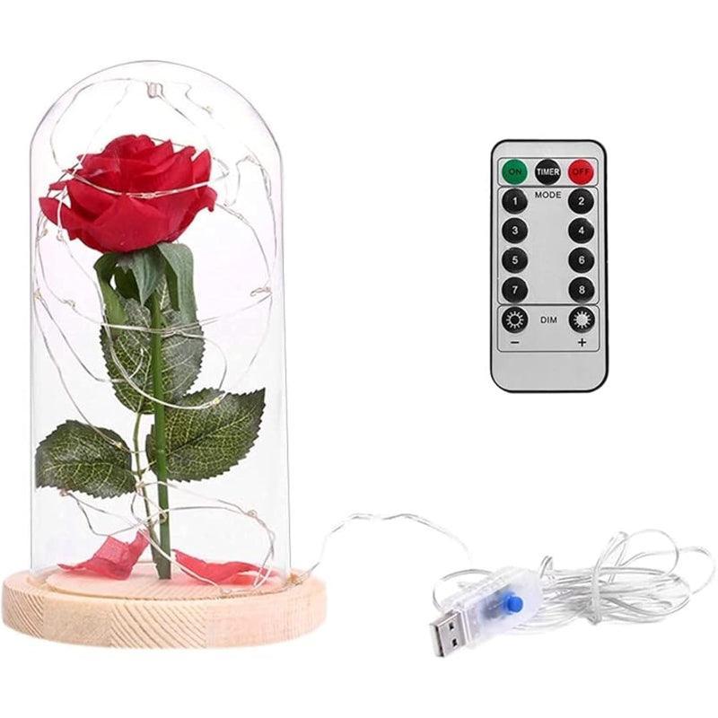Glass Dome Rose Display-Flower Teddy Bear