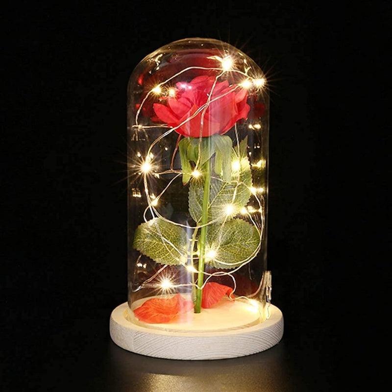 Glass Dome Rose Display-Flower Teddy Bear
