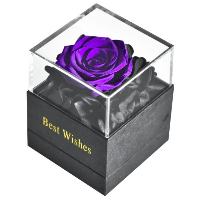Preserved Rose Jewelry Box-Flower Teddy Bear