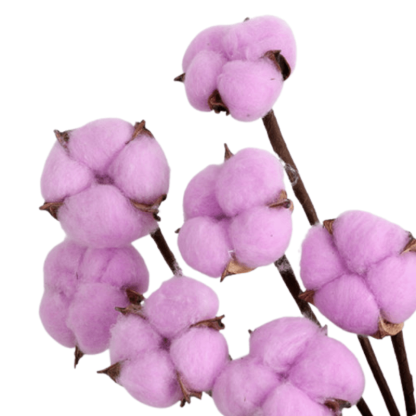 10 Piece Cotton Flower Decorative - Artificial Soft Touch - Flower Teddy Bear