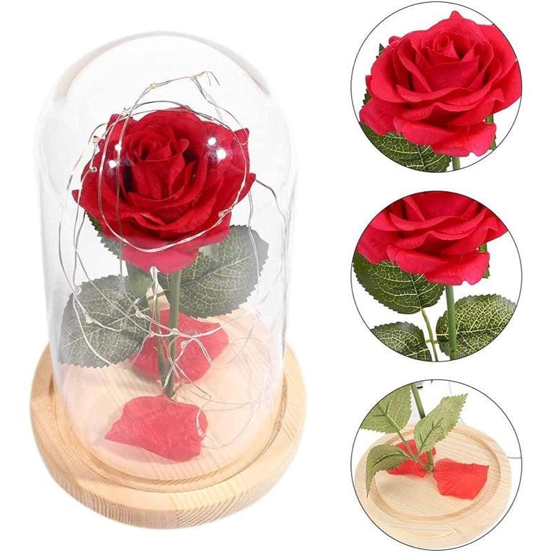 Glass Dome Rose Display-Flower Teddy Bear