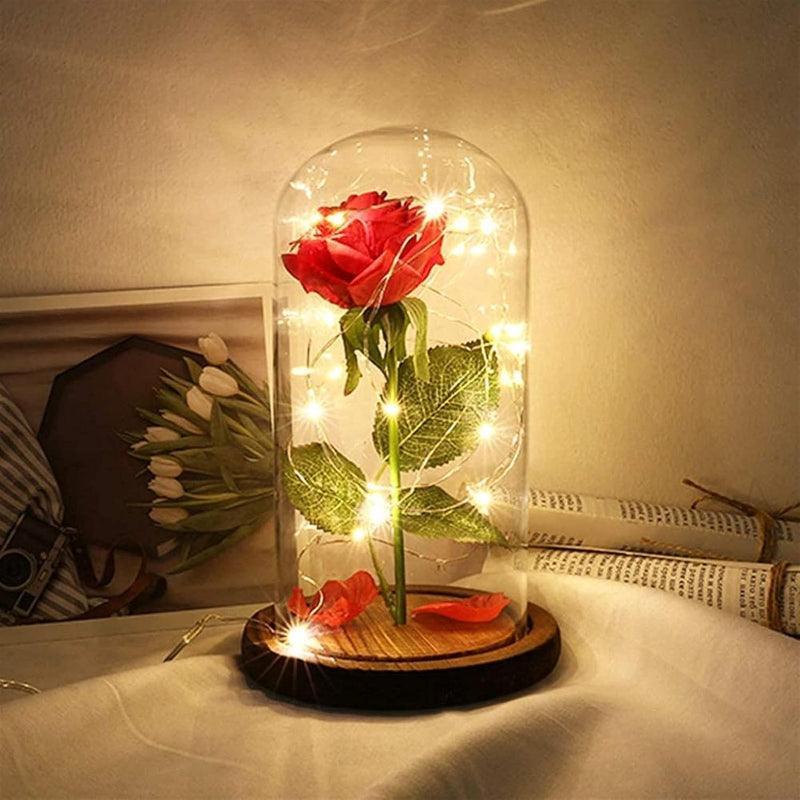 Glass Dome Rose Display-Flower Teddy Bear