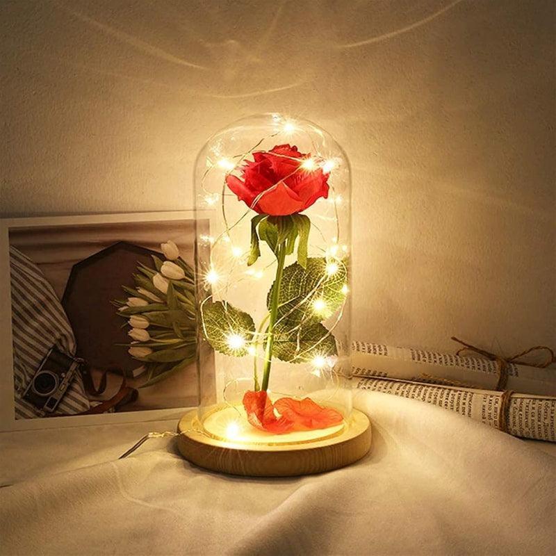 Glass Dome Rose Display-Flower Teddy Bear