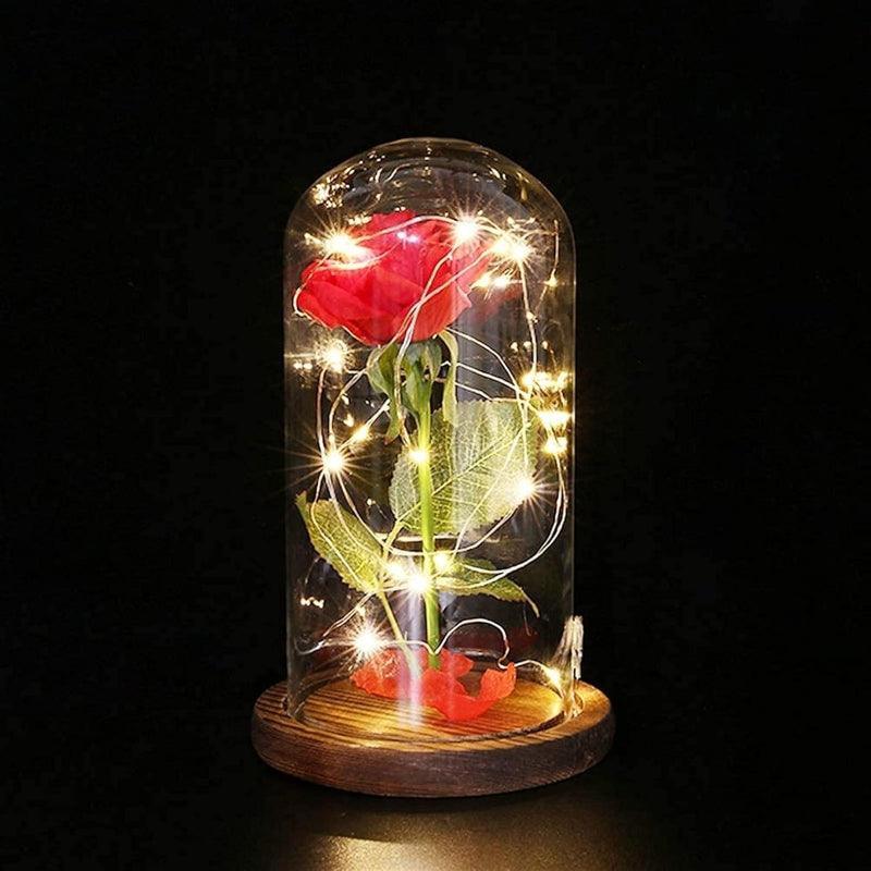 Glass Dome Rose Display-Flower Teddy Bear
