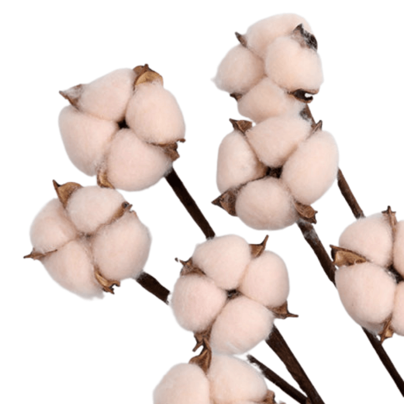 10 Piece Cotton Flower Decorative - Artificial Soft Touch-Flower Teddy Bear