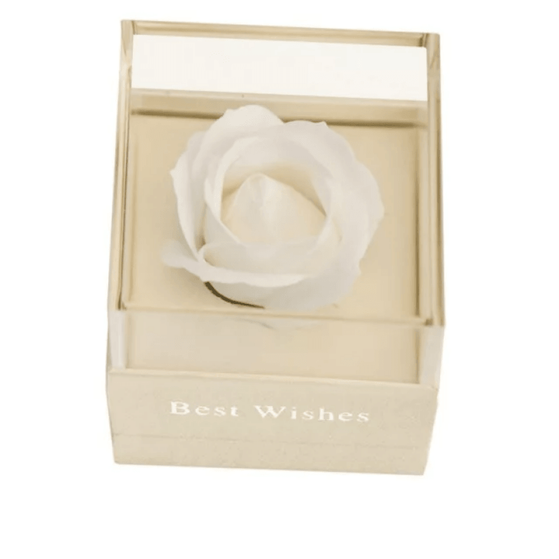 Soap Rose Acrylic Box-Flower Teddy Bear