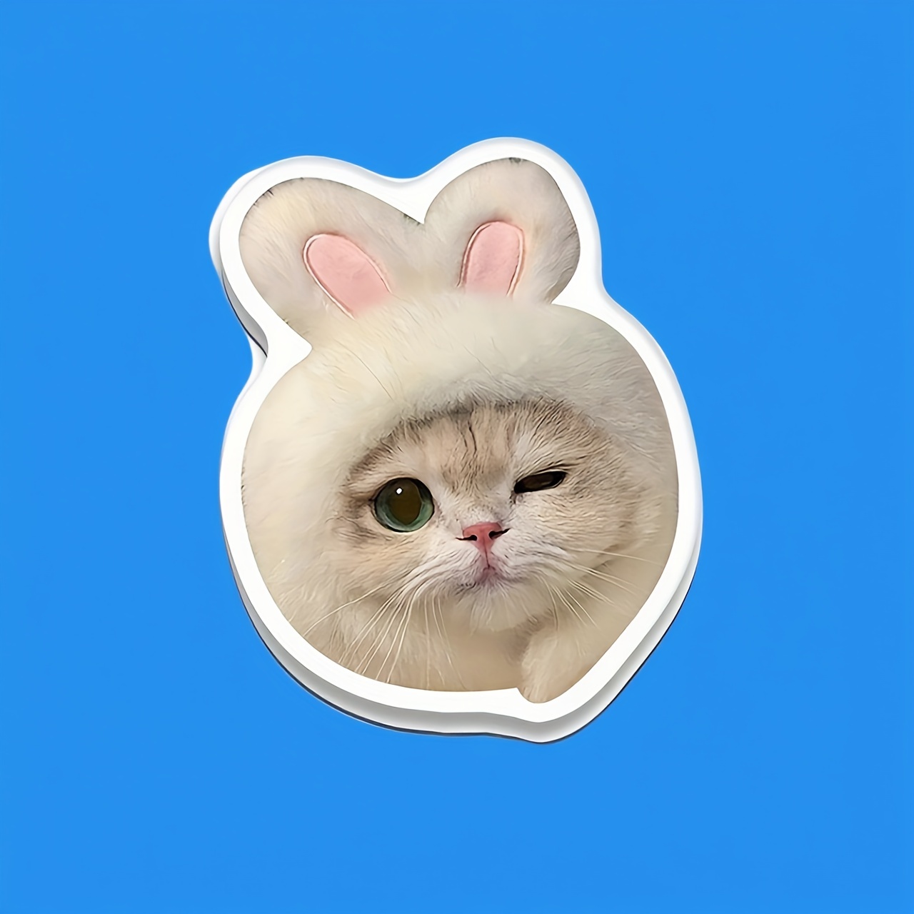 Custom Acrylic Pet Photo Fridge Magnet For Decorative Use