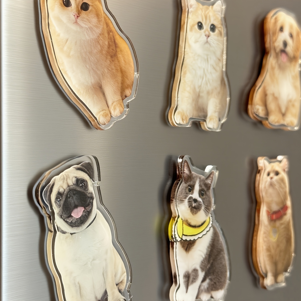 Custom Acrylic Photo Fridge Magnet For Decorative Use