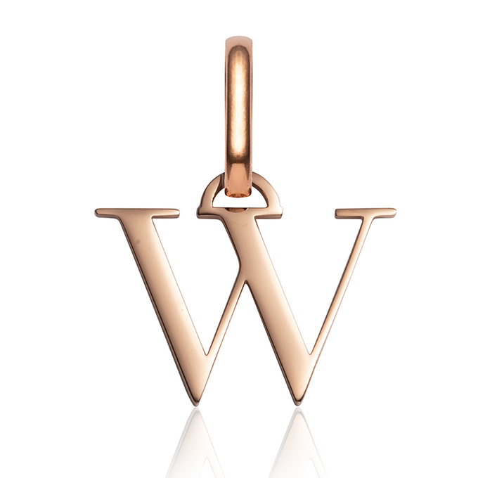 Personalized Initial Letter Birthstone Necklace - Custom Jewelry Gift Do not delete YMQ Image-Flower Teddy Bear