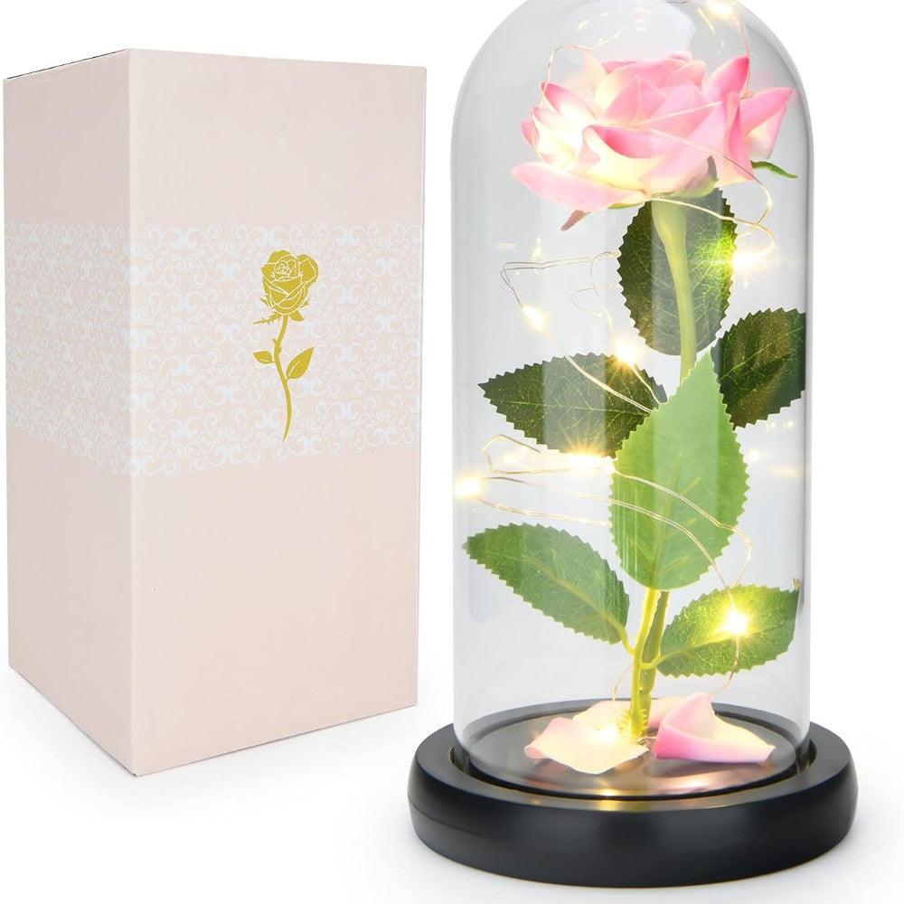 Enchanted LED Rose Dome-Flower Teddy Bear