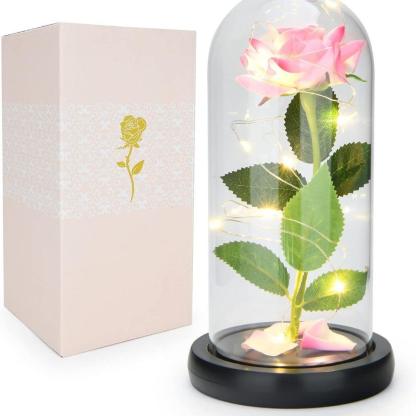 Enchanted LED Rose Dome-Flower Teddy Bear
