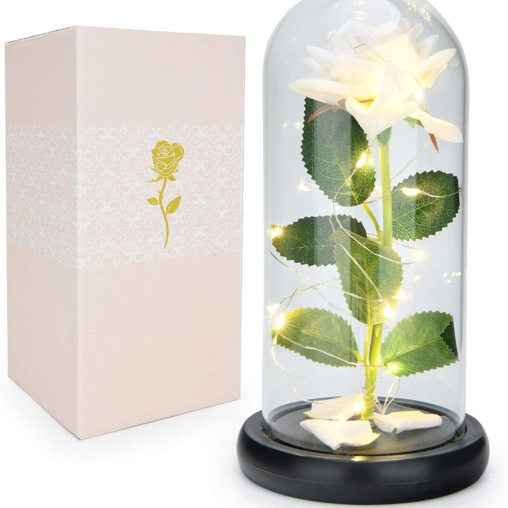 Enchanted LED Rose Dome-Flower Teddy Bear