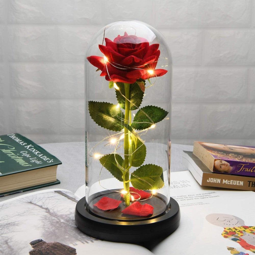 Enchanted LED Rose Dome-Flower Teddy Bear