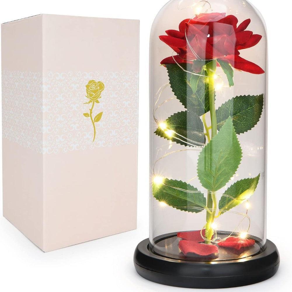 Enchanted LED Rose Dome-Flower Teddy Bear