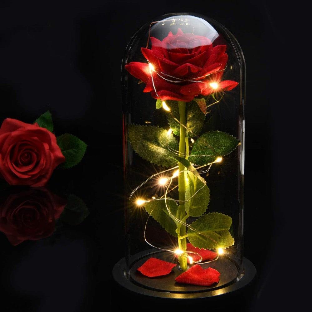 Enchanted LED Rose Dome-Flower Teddy Bear