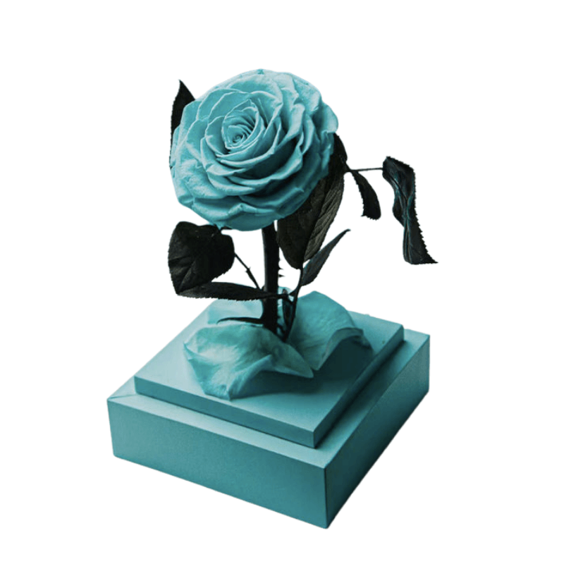 Circle Rose Square Dome – A Timeless Gift To Loved One-Flower Teddy Bear