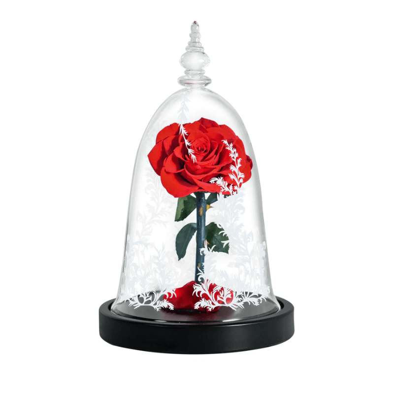 Preserved Rose Glass Dome – Elegant Eternal Floral Gift-Flower Teddy Bear