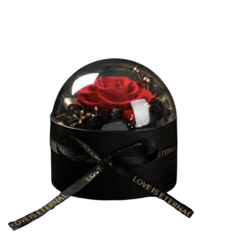 Flower Rose Showbox - An Ideal Showbox For Your Ones-Flower Teddy Bear