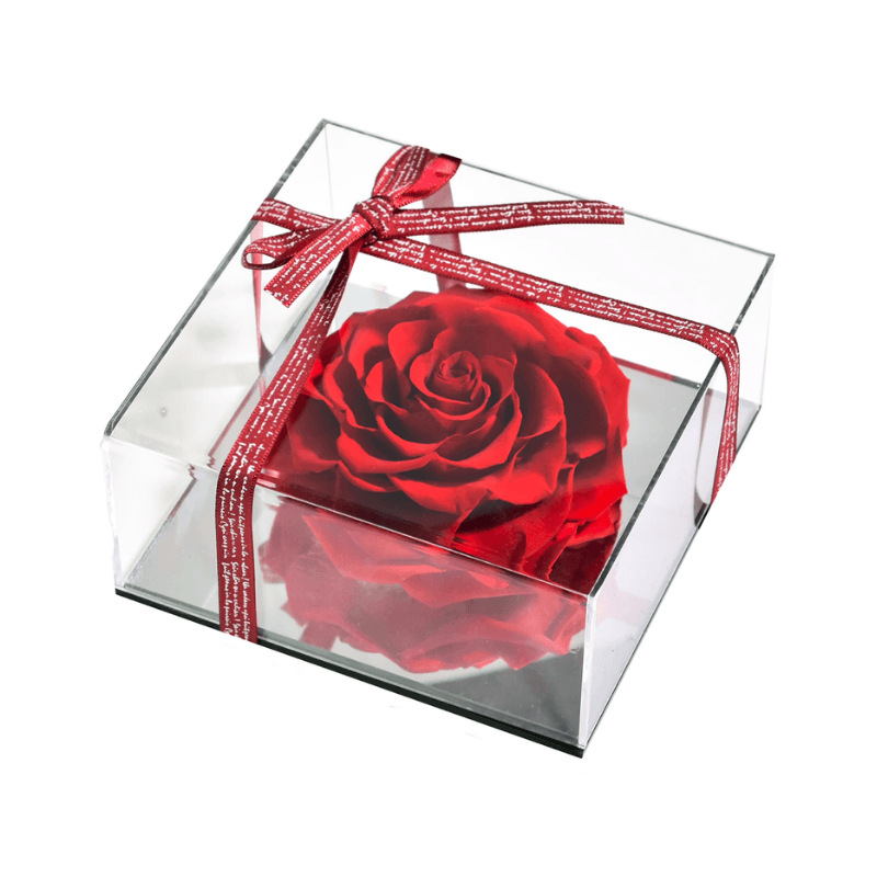 Single Rose Acrylic Box-Flower Teddy Bear