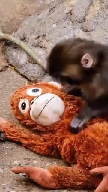 Punch Monkey Plush Toy