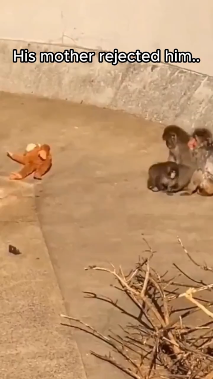 Mama Punch Monkey Plush Toy