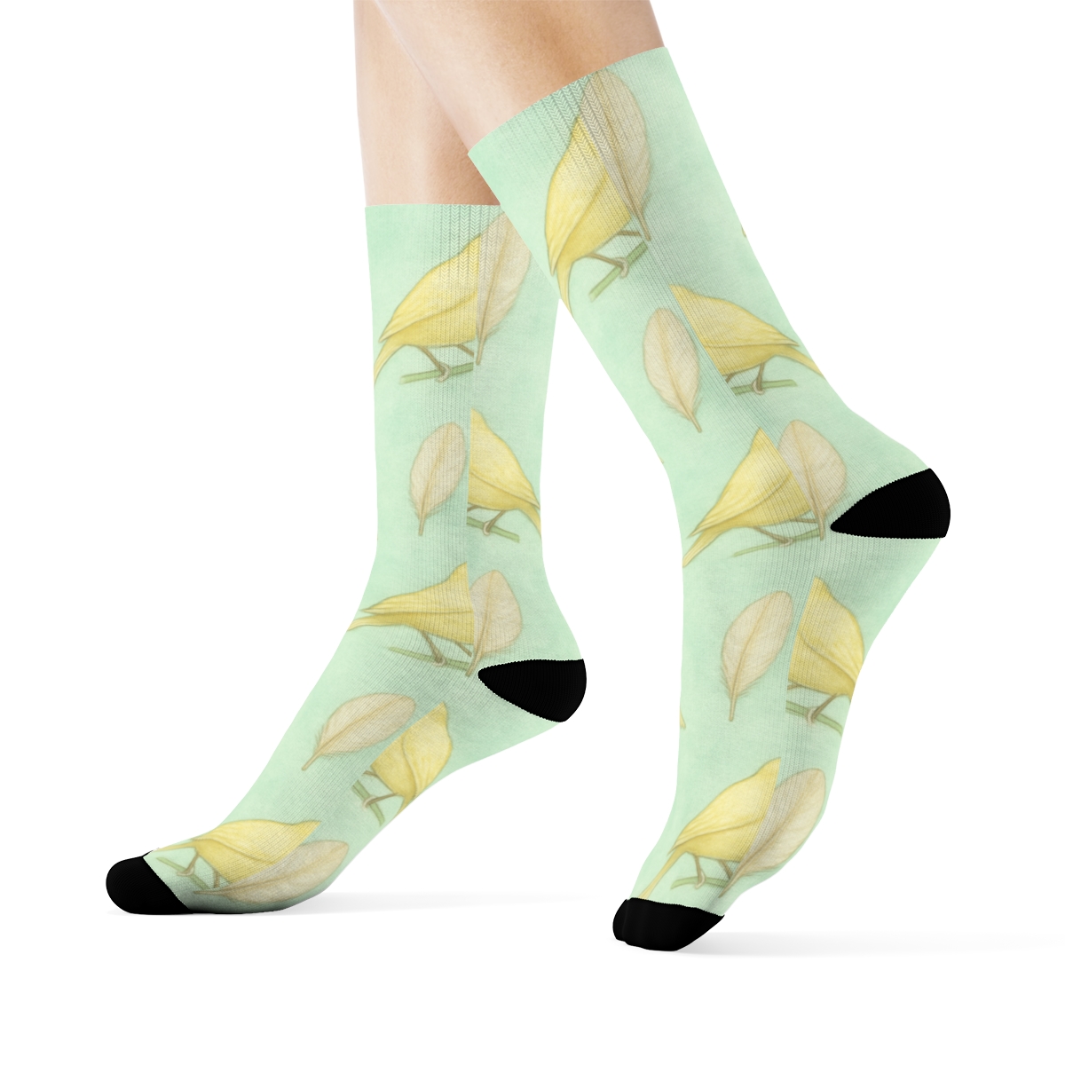 Canary Songwave Perch Icons On Mint Background comfortable cotton crew socks