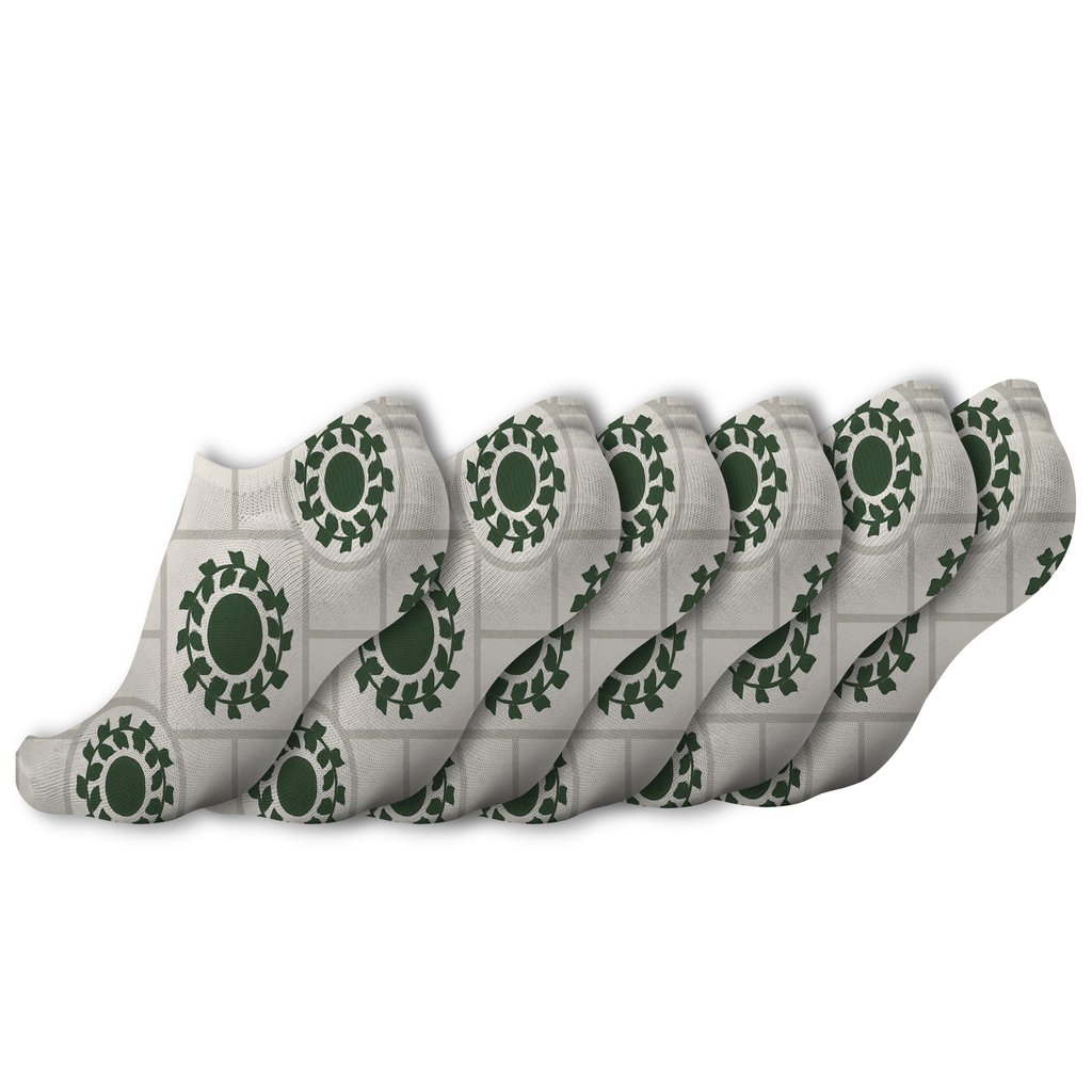 Stone Wall Ivy Grid Medallions personalized ankle socks