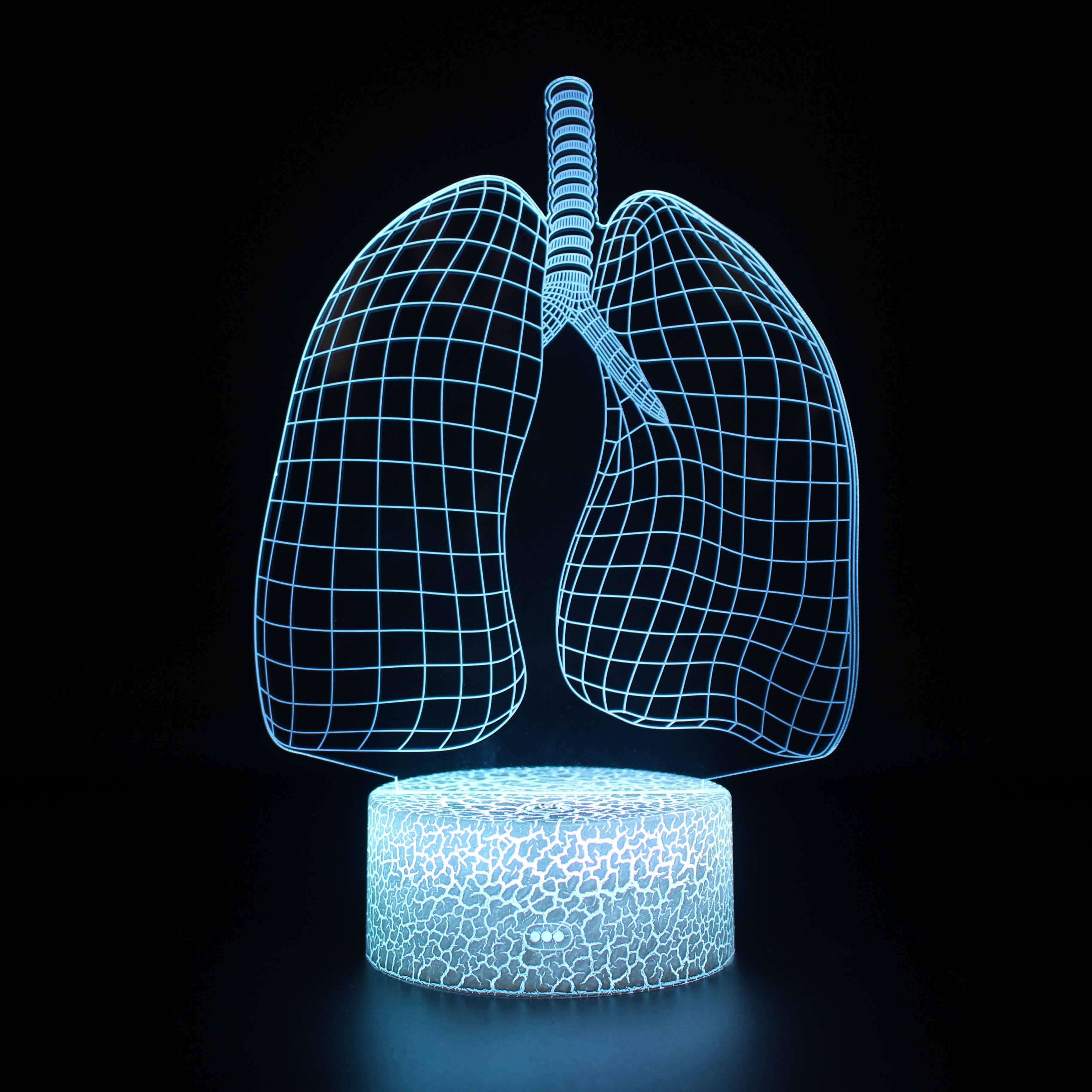 Anatomical Lungs LED Lamp-3D Optical Lamp