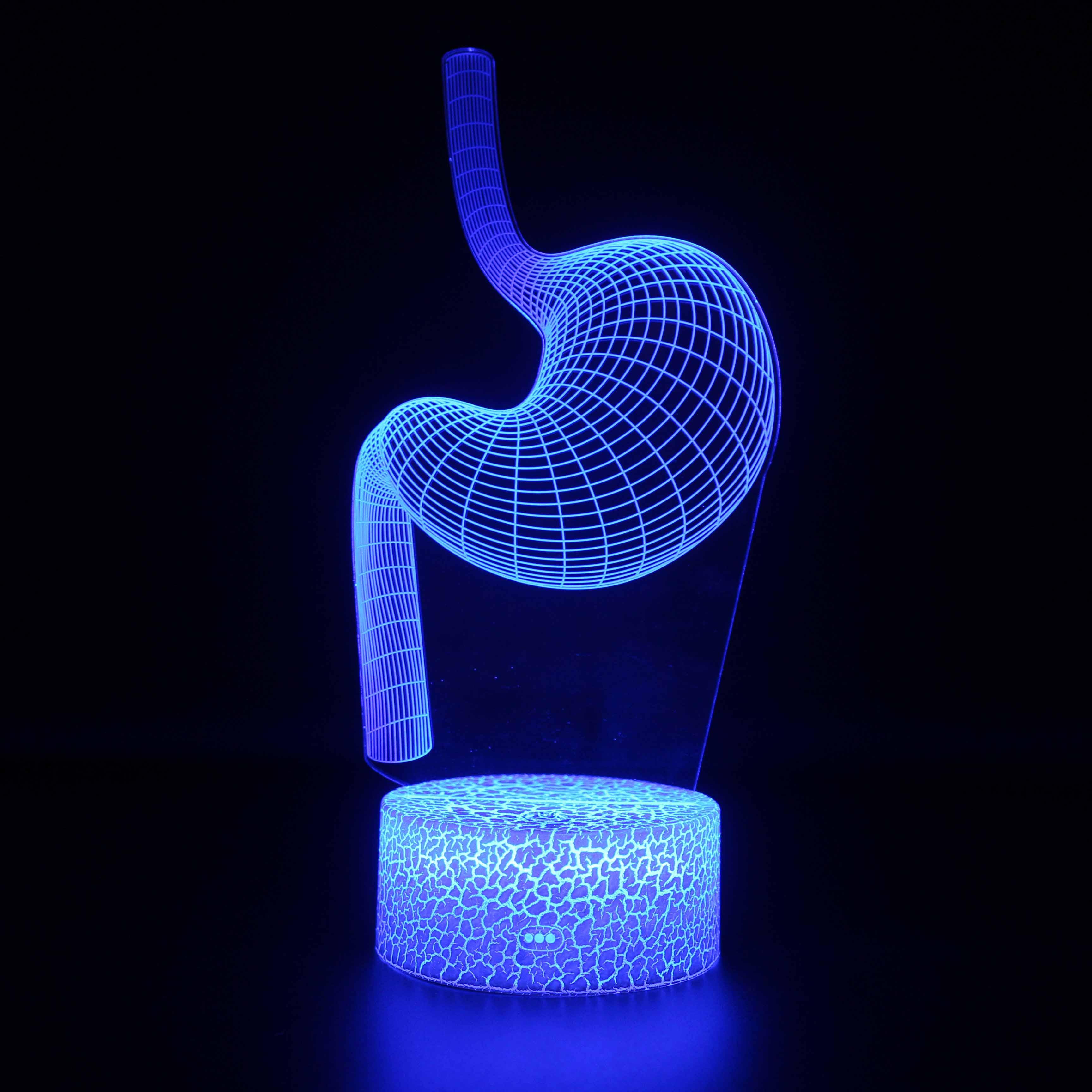 Anatomy Stomach LED Lamp-3D Optical Lamp