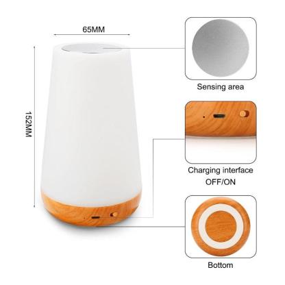 The Colorful Mood Lights - 3D Optical Lamp