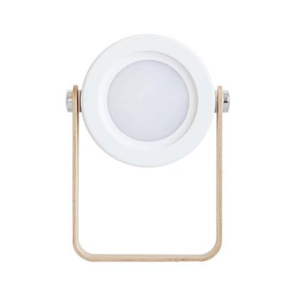 3D Acrylic LED Decorative Lantern Lamp-3D Optical Lamp
