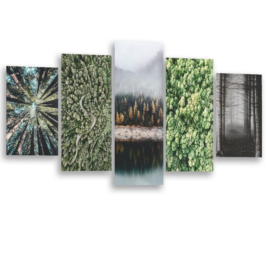 Beautiful Winter Forests 5 Piece HD Multi Panel Canvas Wall Art Frame-Original Frame