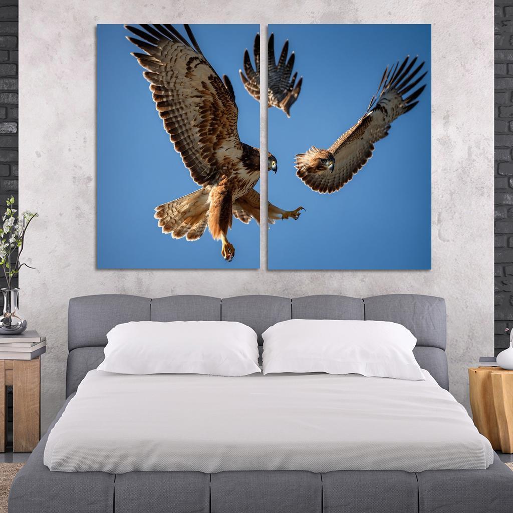 The Graceful Red-tailed Hawk Icon Of The Open Sky Modern Paintings Frame