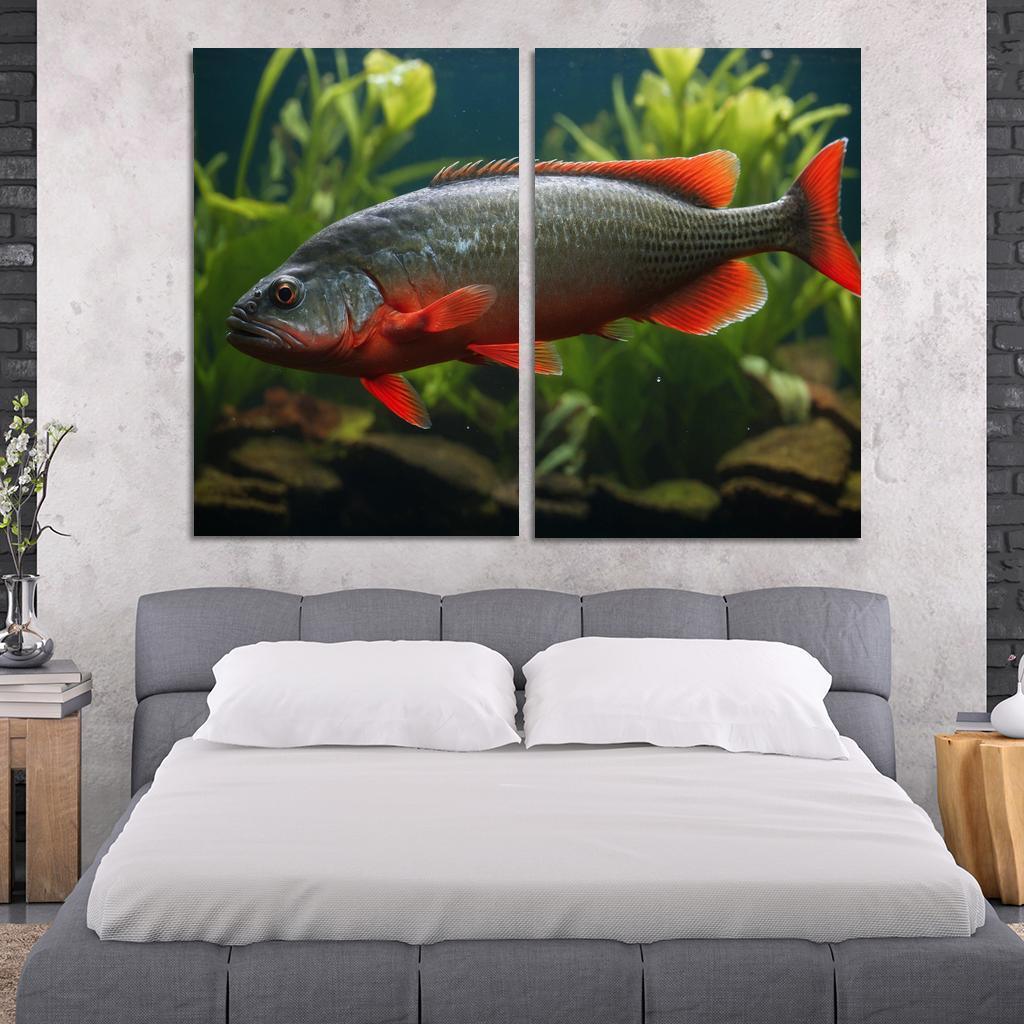 The Endearing Red-bellied Piranha In Freshwater Framed Paintings