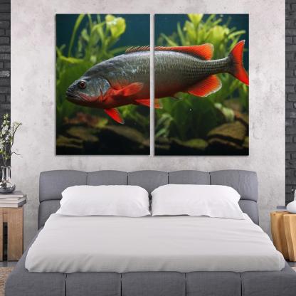 The Endearing Red-bellied Piranha In Freshwater Framed Paintings