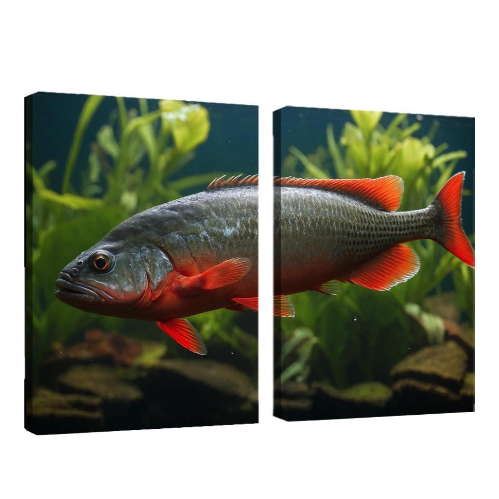 The Endearing Red-bellied Piranha In Freshwater Framed Paintings