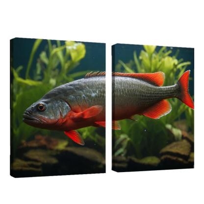 The Endearing Red-bellied Piranha In Freshwater Framed Paintings