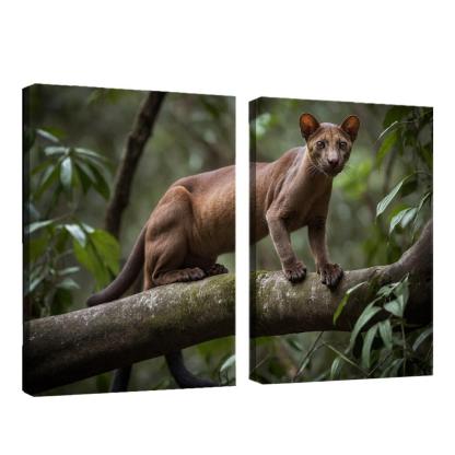 The Unique Fossa In Madagascar's Forests Framed Paintings