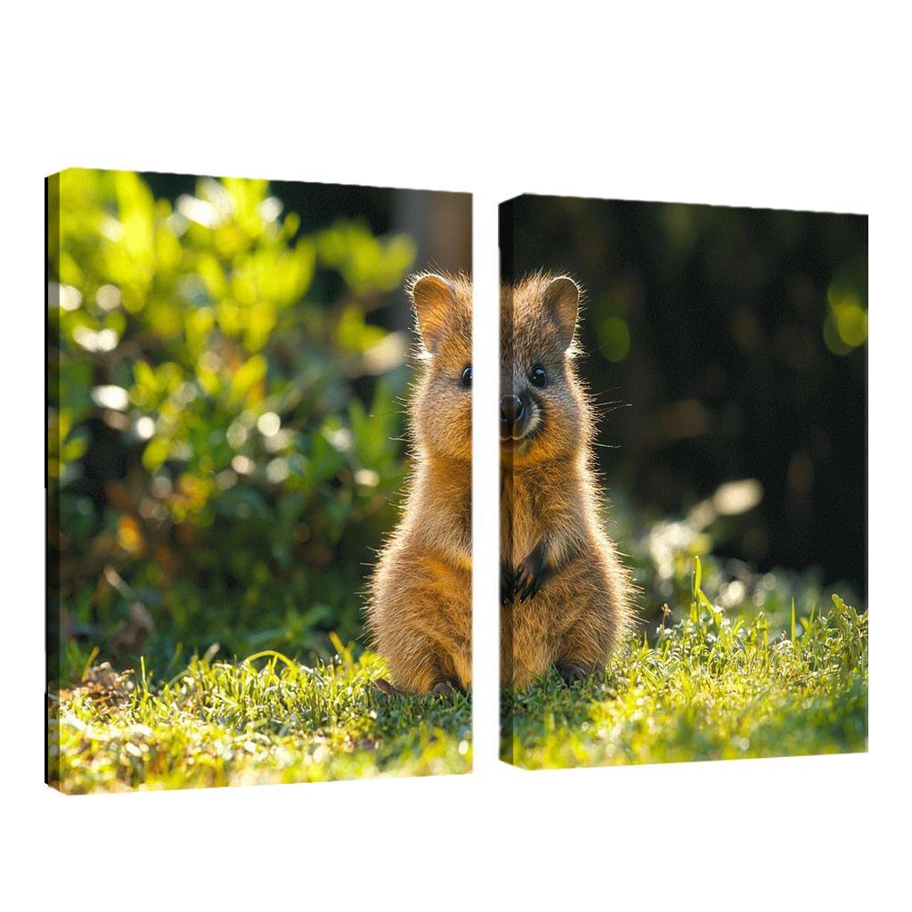 The Charming Quokka The World's Happiest Animal Art Trends