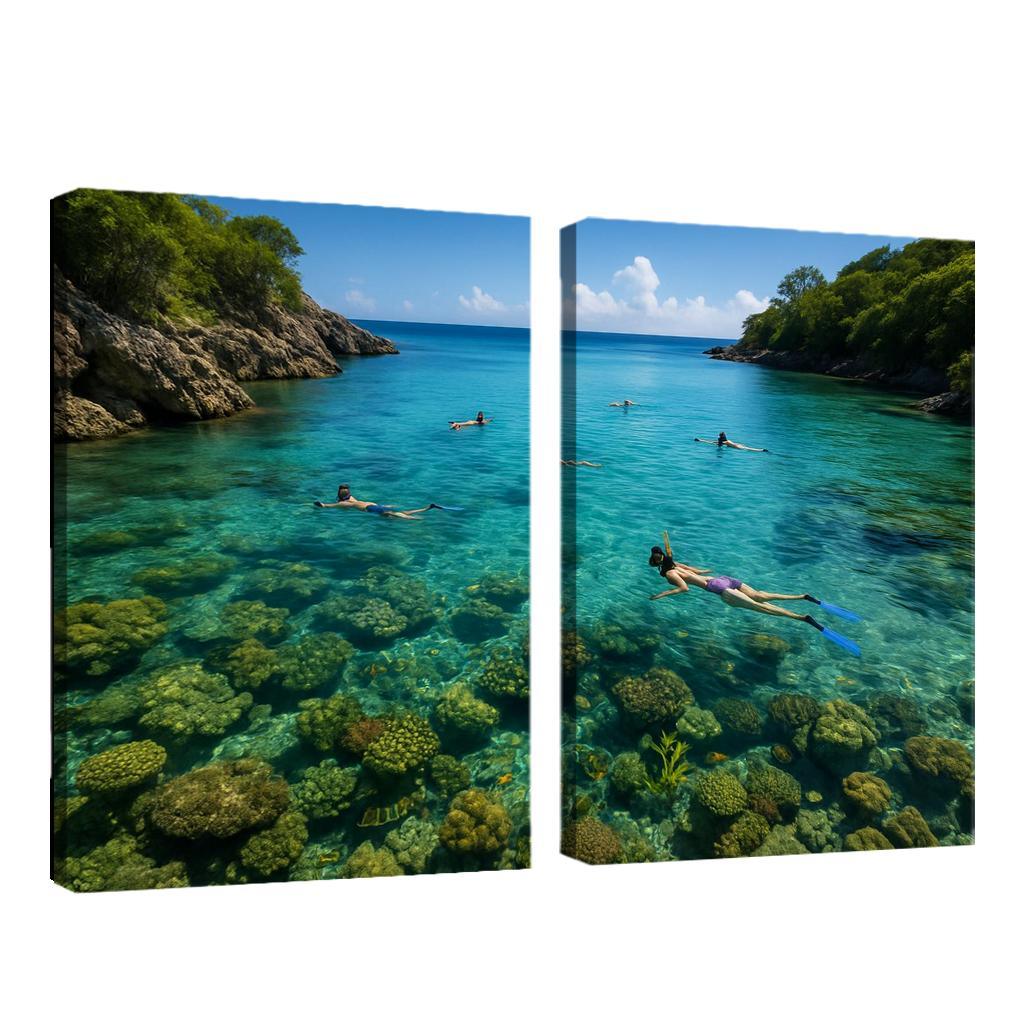 Crystal Bay Snorkeling Sanctuary Custom Paintings Frame