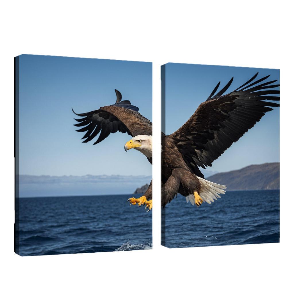 The Majestic Steller's Sea Eagle By The Sea Framed Paintings