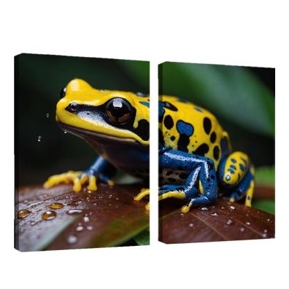 The Colorful Poison Dart Frog Jewel Of The Tropics Modern Paintings Frame