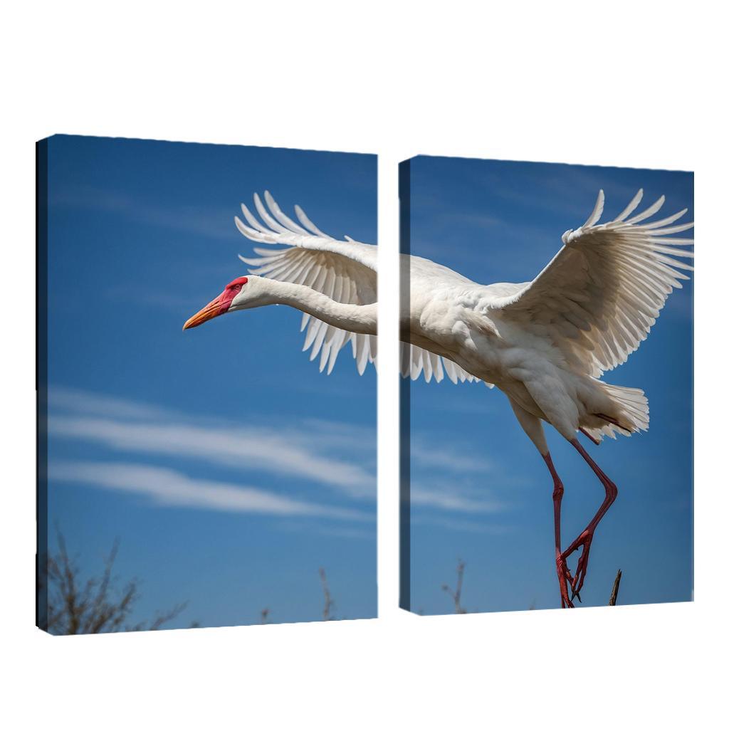 The Majestic Siberian Crane Harbingers Of Change Canvas Paintings Frame