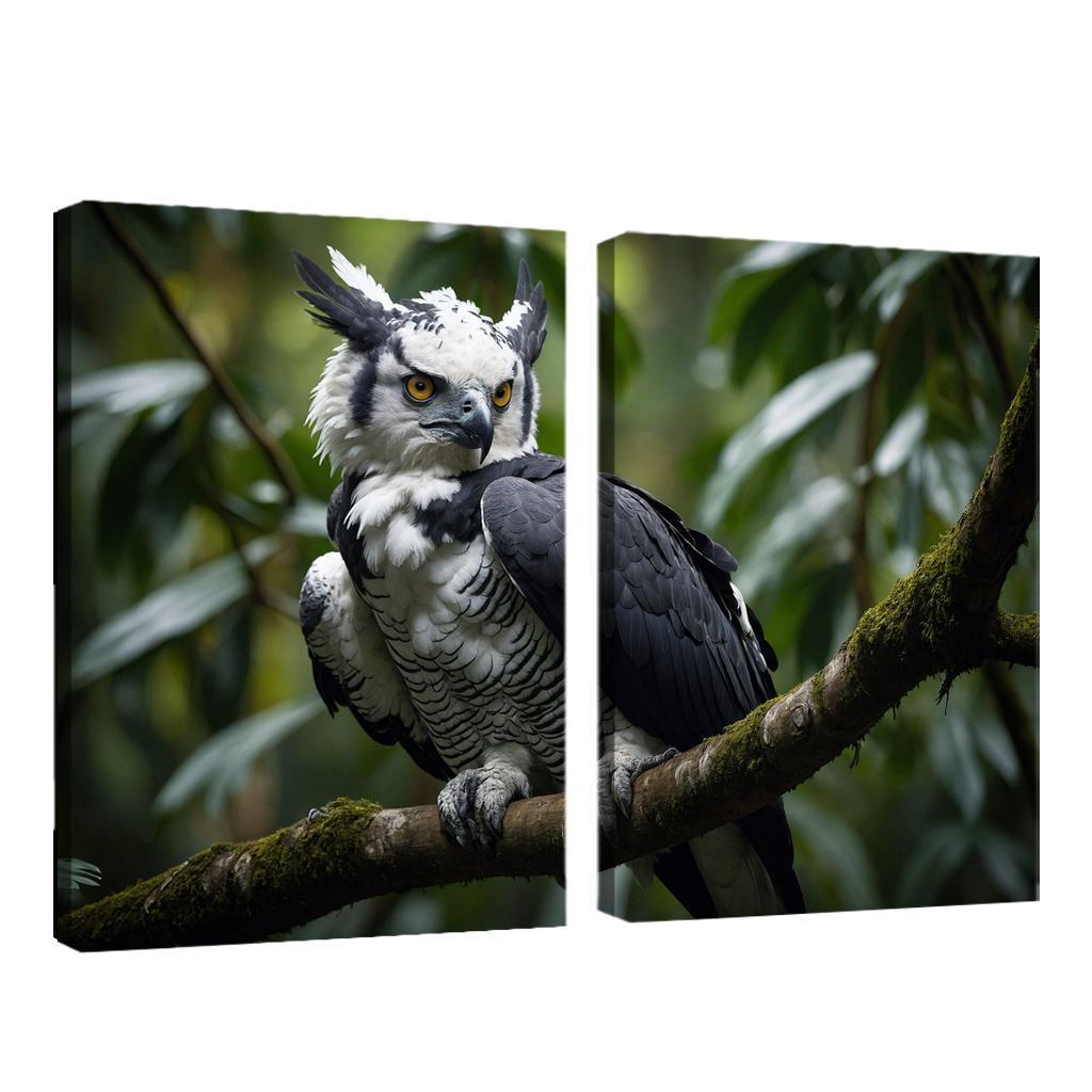 The Regal Harpy Eagle The Forest Monarch Custom Paintings Frame